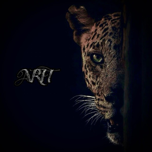 少女啊啊啊用力插少妇
